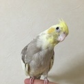 沢山のご応募ありがとうございました！