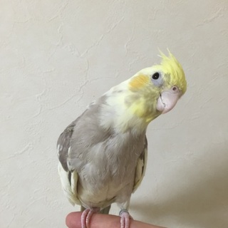 沢山のご応募ありがとうございました！