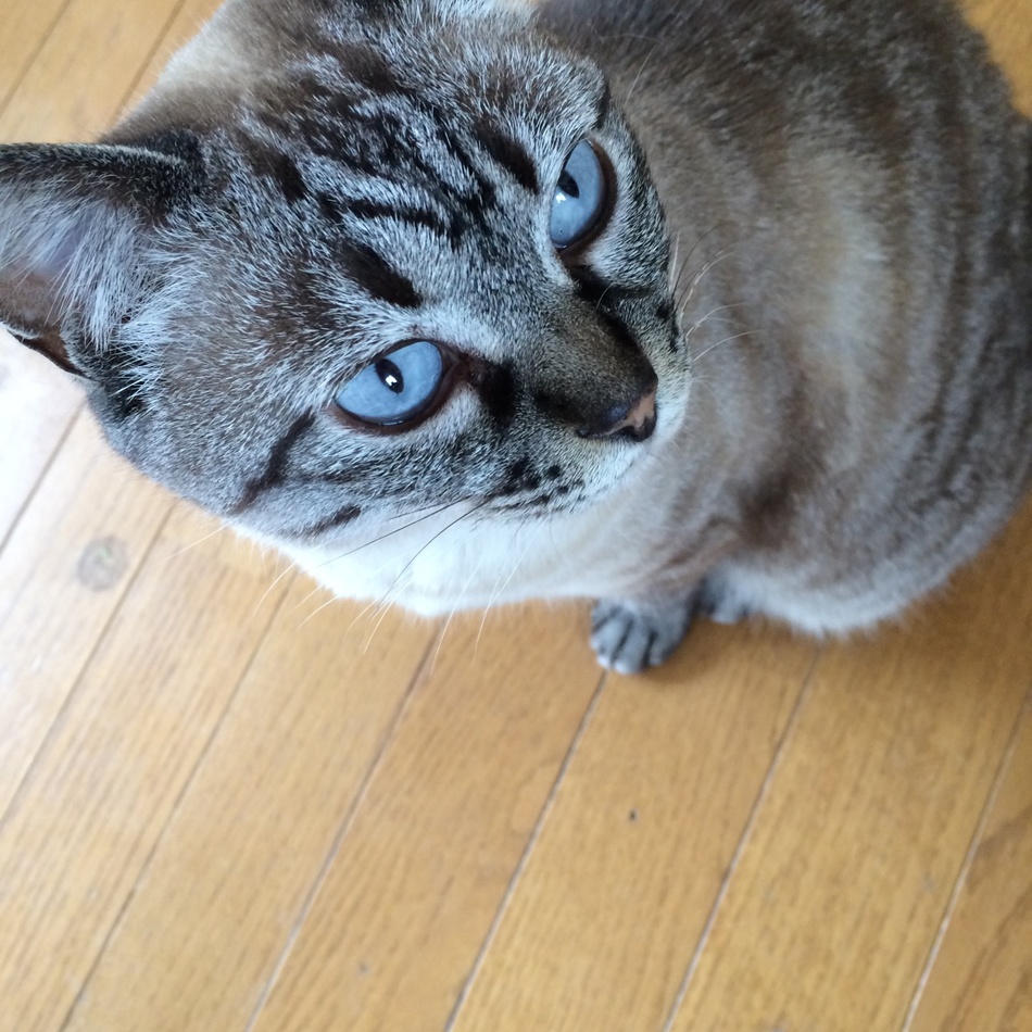 その子のカバー写真