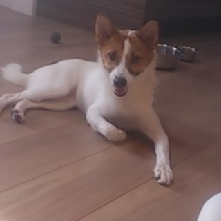 小柄で可愛い女の子。少しはにかみ屋さんです