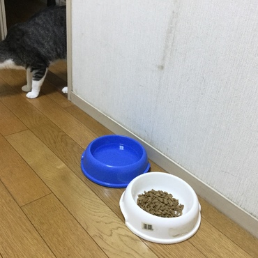 の写真