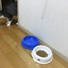 の写真