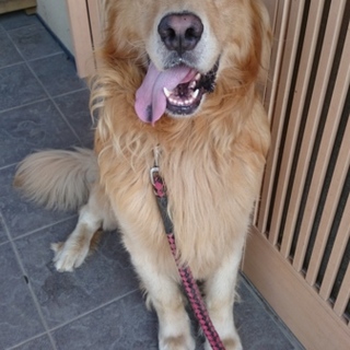 可愛がってくれる方を探しています。