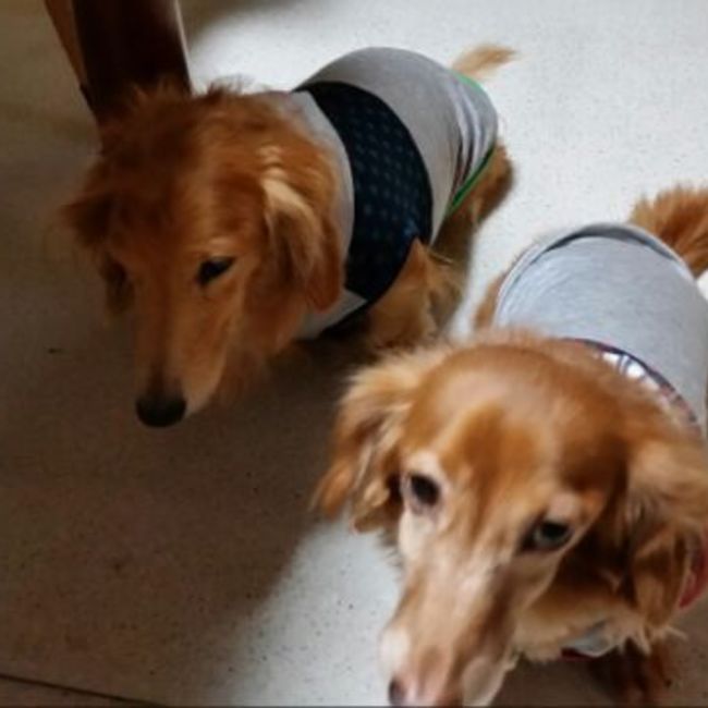 サクブライのカバー写真