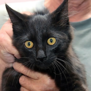 ギャップくん　4か月の男の子