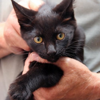 カルバンくん　4か月の男の子