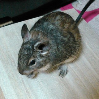 【たくさんのご応募ありがとうございました！】