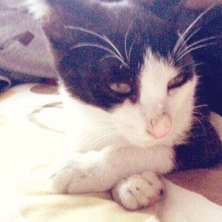 探しています！！