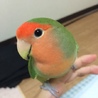 gug さん