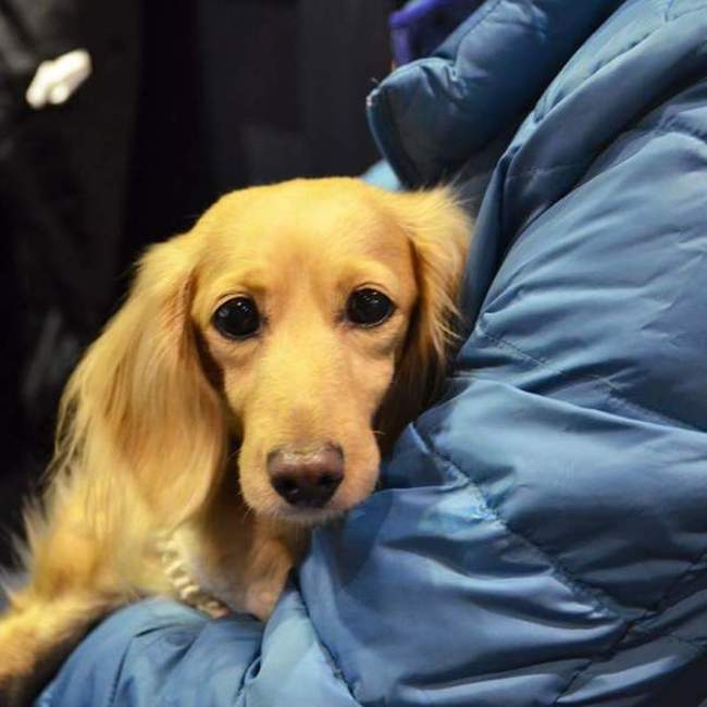 yukimaronのカバー写真