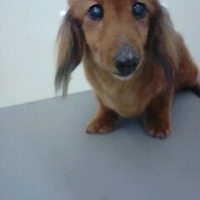 ラッキー