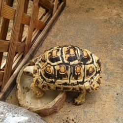 「お散歩」サムネイル2