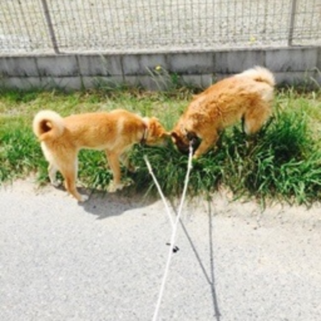 アニー⭐️のカバー写真