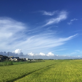 沢山のご応募ありがとうございました。