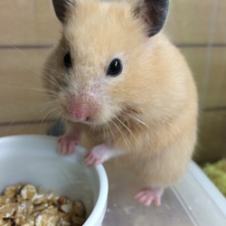 スーちゃん完璧！ お世話が楽チン♪( ´▽｀)