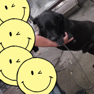 行き場がなくなりました。。