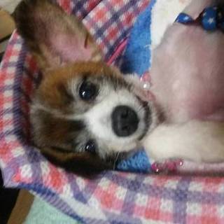 僕にとても優しいママとお姉ちゃんができました！