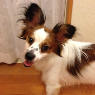 全てが初めて❤そら君、冒険中（代理掲載）