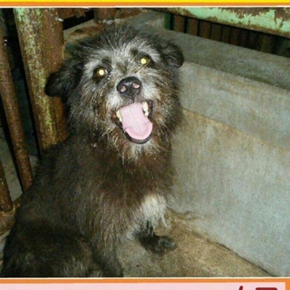 この子の命を救ってください。