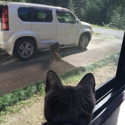 リキおじさん困惑(｡-_-｡)