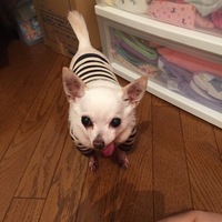 ティム