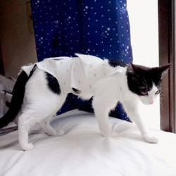 がんばったねサラちゃん