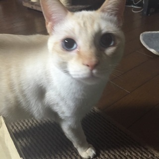 2014年3月20日生まれ◯男の子