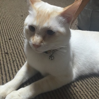 2014年3月20日生まれ◯男の子