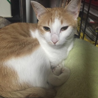 2014年3月20日生まれ◯女の子