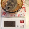 うちに来たとき