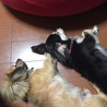 の写真