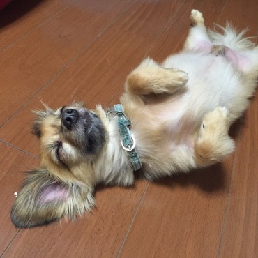 の写真