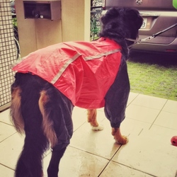 カッパでお散歩！