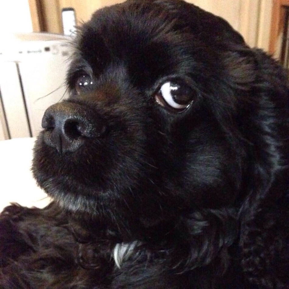 rakasのカバー写真