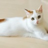 くさのよ