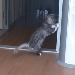 天ちゃんのマイブーム