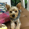 とむきち