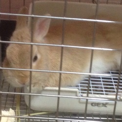 「9.26」サムネイル1