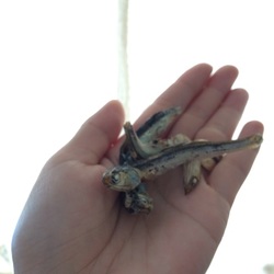 「ごはんタイム」サムネイル2