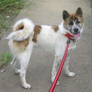 岐阜のＫ様に巡り会えました