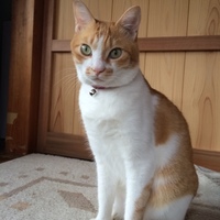 ふれんど