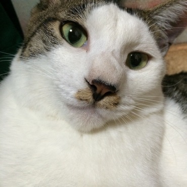 アップ♡