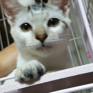 食欲旺盛な男の子