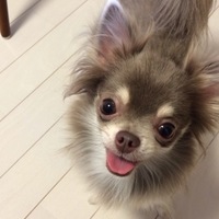 ぴの