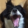 の写真