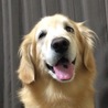 の写真
