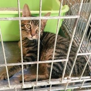 助けて下さい！収容期限が迫ってます。