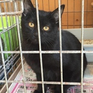 助けて下さい！収容期限が迫ってます。