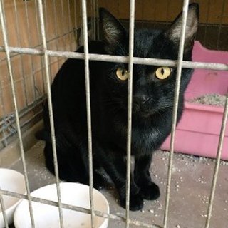 助けて下さい！収容期限が迫ってます。