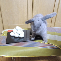 「4か月です」サムネイル2